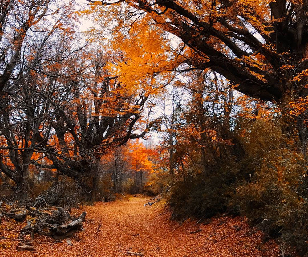 Otoño en Esquel, Chubut